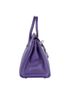 Birkin 25 in Veau Togo Iris, side view